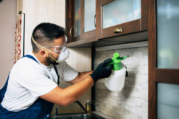 Best Spider Control Near Me  in Pompano Beach, FL