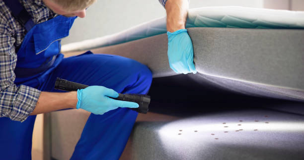 Reliable Pompano Beach, FL Pest Control Solutions
