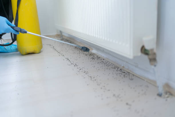 Best Cockroach Control Services  in Pompano Beach, FL